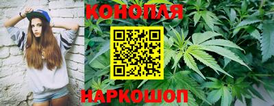 spice Будённовск