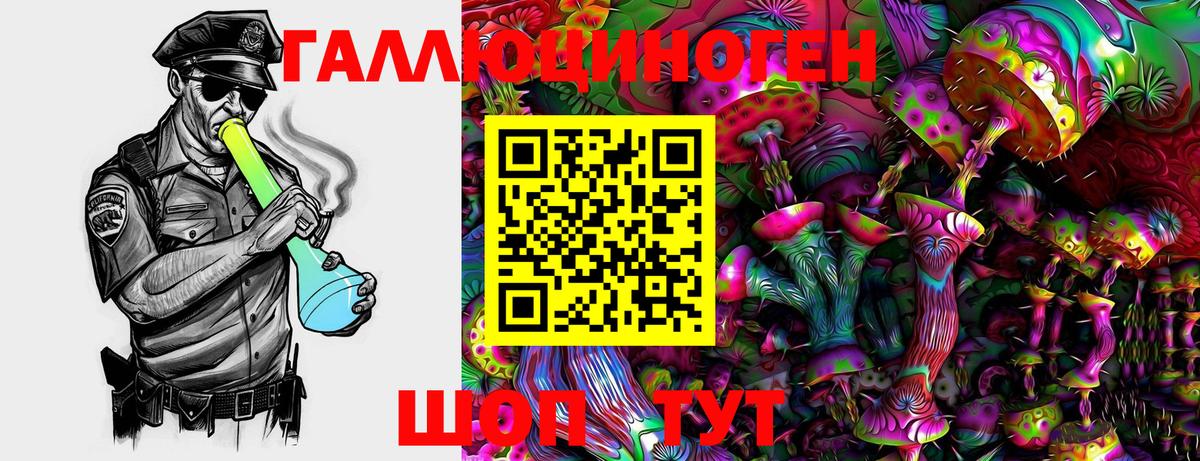 Галлюциногенные грибы Cubensis Салехард